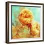 Summer Romance-Tina Lavoie-Framed Giclee Print