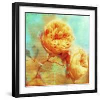 Summer Romance-Tina Lavoie-Framed Giclee Print