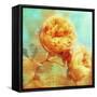 Summer Romance-Tina Lavoie-Framed Stretched Canvas