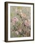 Summer Roses-Lilia Orlova Holmes-Framed Giclee Print