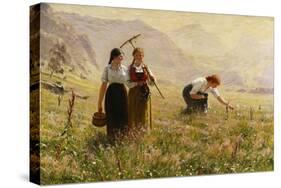 Summer's Day in Norway; Ein Sommertag in Norwegen-Hans Dahl-Stretched Canvas