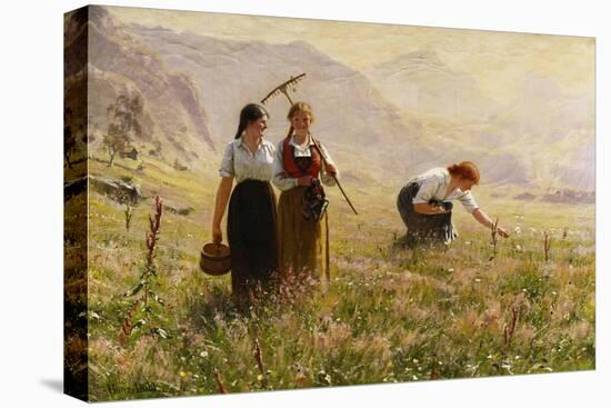 Summer's Day in Norway-Hans Dahl-Stretched Canvas