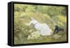 Summer's Day-Edward Killingworth Johnson-Framed Stretched Canvas