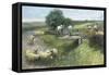 Summer's Day-Harry Fidler-Framed Stretched Canvas