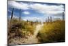 Summer’s Departure-John Rivera-Mounted Photographic Print