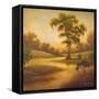 Summer's End I-Michael Marcon-Framed Stretched Canvas