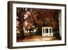 Summer's Ending I-Alan Hausenflock-Framed Photographic Print