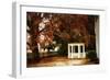 Summer's Ending I-Alan Hausenflock-Framed Photographic Print