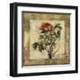 Summer's Inspiration II-Douglas-Framed Giclee Print