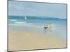 Summer Sands-Paul Brown-Mounted Giclee Print