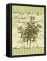 Summer Savory-Kate Ward Thacker-Framed Stretched Canvas