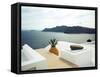 Summer Scene at Santorini Island, Greece-yurok-Framed Stretched Canvas