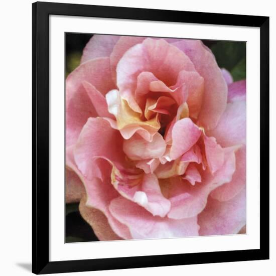 Summer Scent-Pete Kelly-Framed Giclee Print