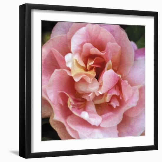 Summer Scent-Pete Kelly-Framed Giclee Print