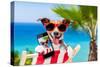 Summer Selfie Dog-Javier Brosch-Stretched Canvas