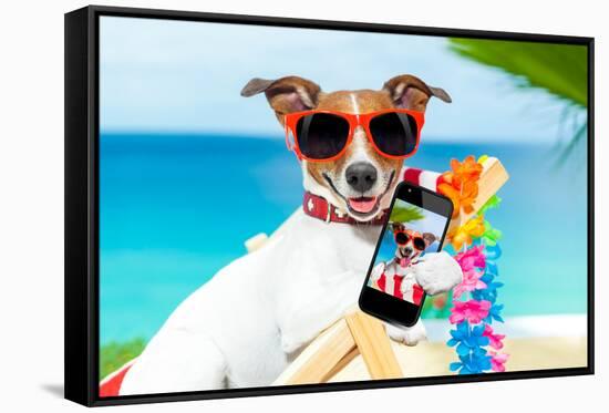 Summer Selfie Dog-Javier Brosch-Framed Stretched Canvas