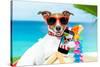 Summer Selfie Dog-Javier Brosch-Stretched Canvas