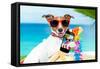 Summer Selfie Dog-Javier Brosch-Framed Stretched Canvas