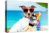 Summer Selfie Dog-Javier Brosch-Stretched Canvas