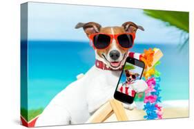 Summer Selfie Dog-Javier Brosch-Stretched Canvas