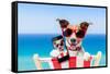 Summer Selfie Dog-Javier Brosch-Framed Stretched Canvas