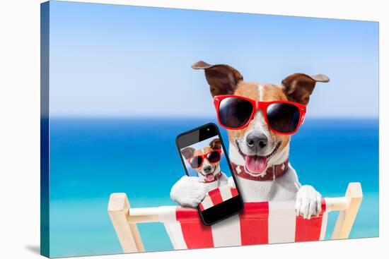 Summer Selfie Dog-Javier Brosch-Stretched Canvas