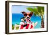 Summer Selfie Dog-Javier Brosch-Framed Photographic Print