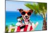 Summer Selfie Dog-Javier Brosch-Mounted Photographic Print