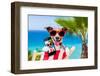 Summer Selfie Dog-Javier Brosch-Framed Photographic Print