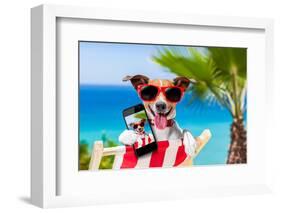 Summer Selfie Dog-Javier Brosch-Framed Photographic Print