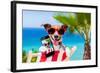 Summer Selfie Dog-Javier Brosch-Framed Photographic Print