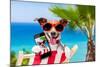 Summer Selfie Dog-Javier Brosch-Mounted Photographic Print