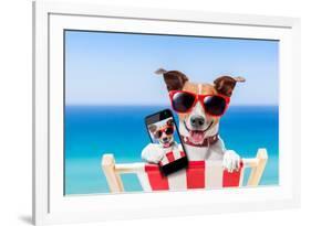 Summer Selfie Dog-Javier Brosch-Framed Photographic Print