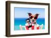 Summer Selfie Dog-Javier Brosch-Framed Photographic Print