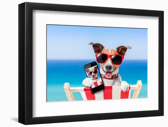 Summer Selfie Dog-Javier Brosch-Framed Photographic Print