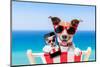 Summer Selfie Dog-Javier Brosch-Mounted Photographic Print