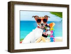 Summer Selfie Dog-Javier Brosch-Framed Photographic Print