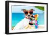 Summer Selfie Dog-Javier Brosch-Framed Photographic Print