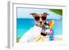 Summer Selfie Dog-Javier Brosch-Framed Photographic Print