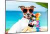 Summer Selfie Dog-Javier Brosch-Mounted Photographic Print