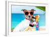 Summer Selfie Dog-Javier Brosch-Framed Photographic Print