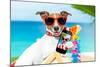Summer Selfie Dog-Javier Brosch-Mounted Photographic Print