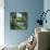 Summer Serenity-Kevin Dodds-Mounted Giclee Print displayed on a wall
