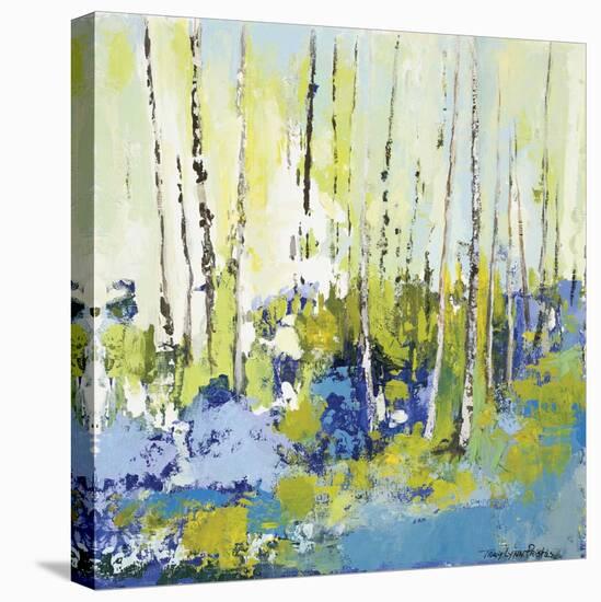 Summer Series I-Tracy Lynn Pristas-Stretched Canvas