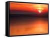 Summer Setting 2-Felipe Rodriguez-Framed Stretched Canvas