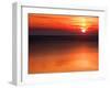 Summer Setting 2-Felipe Rodriguez-Framed Photographic Print