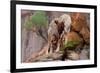 Summer Shade-Gordon Semmens-Framed Giclee Print