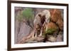 Summer Shade-Gordon Semmens-Framed Premium Giclee Print