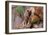 Summer Shade-Gordon Semmens-Framed Giclee Print