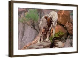 Summer Shade-Gordon Semmens-Framed Giclee Print